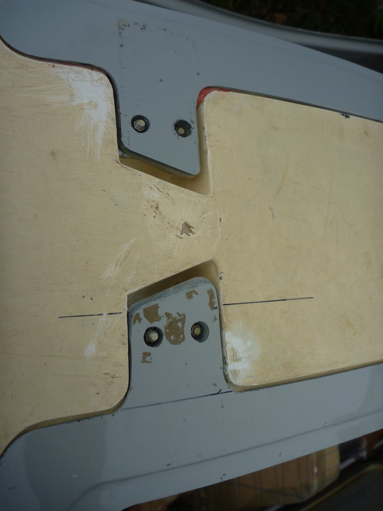 forward door hinges